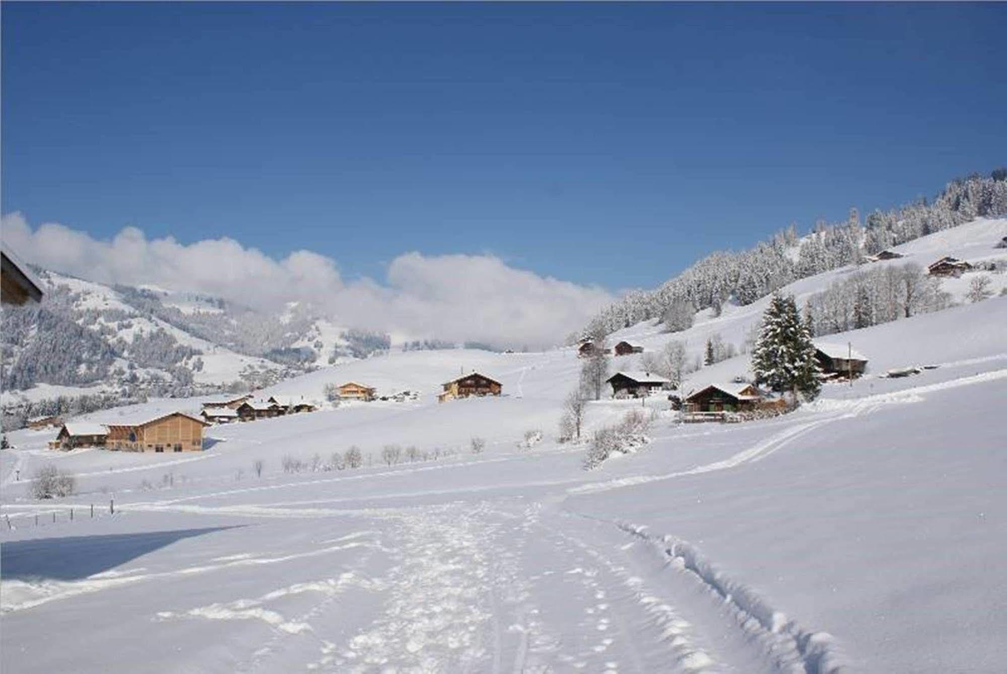 Hotel Le Grand Gstaad